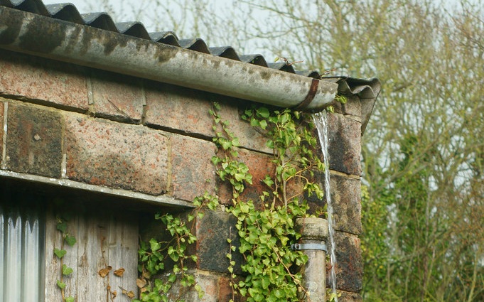 Rainwater escaping at a detached gutter and downpipe connection on an Isle of Wight outbuilding